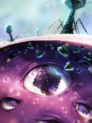 Nature journal cover illustration depicting the Panoptopes antiviral defense system in bacteria with molecular and cellular components